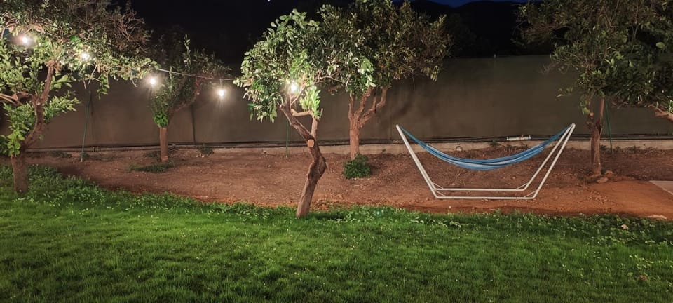 Night, Natural landscape, Garden, Garden view