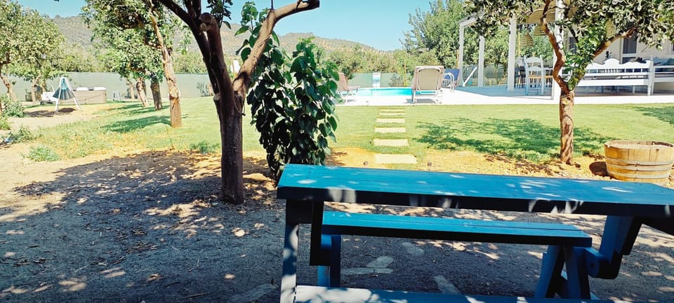 Day, Natural landscape, Garden, Garden view