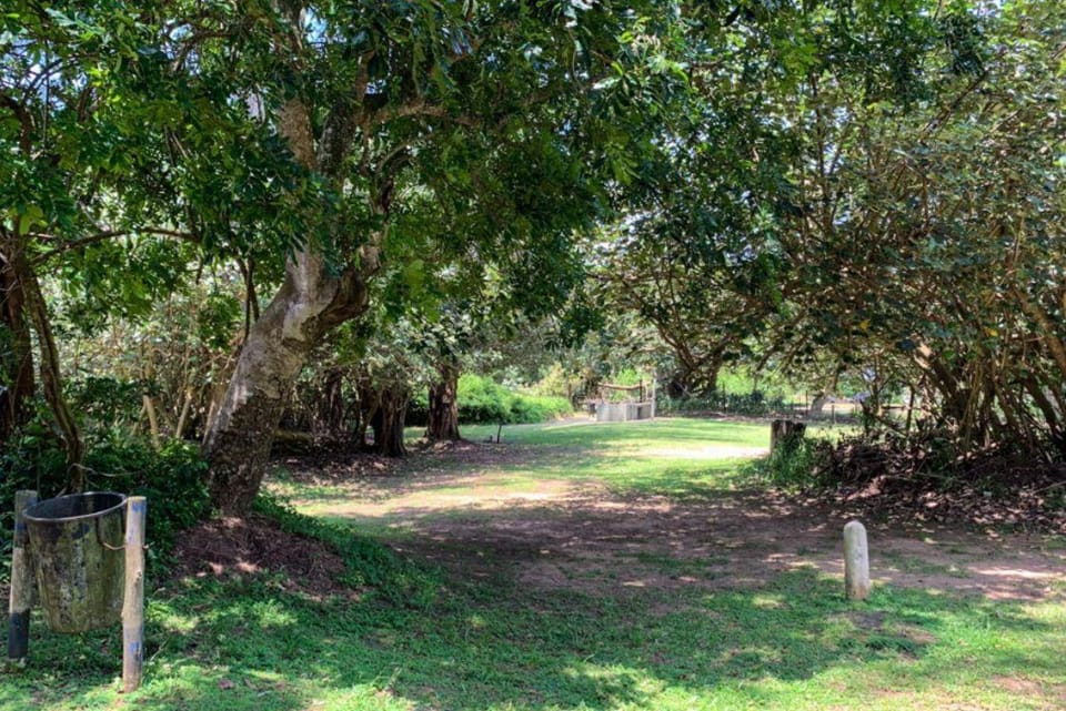 Day, Natural landscape, Garden