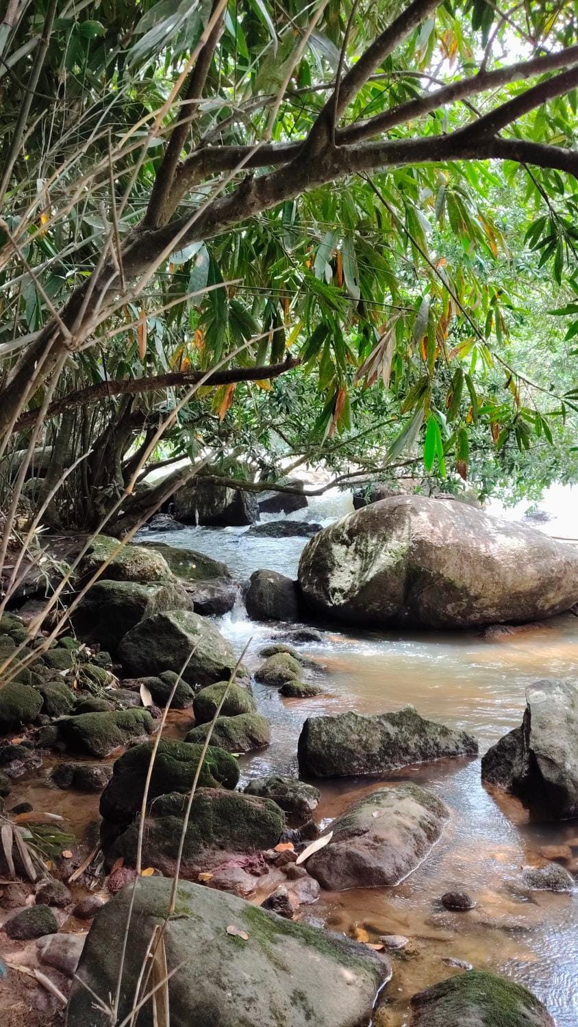 Natural landscape, River view