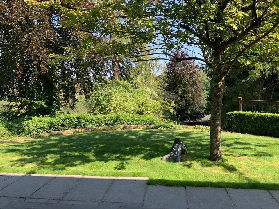 View (from property/room)