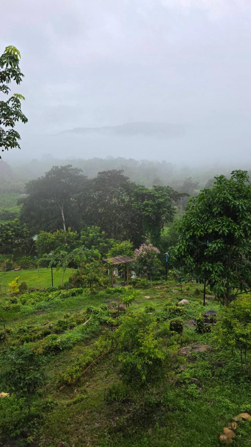 217 Little Hill Hotel in Thailand