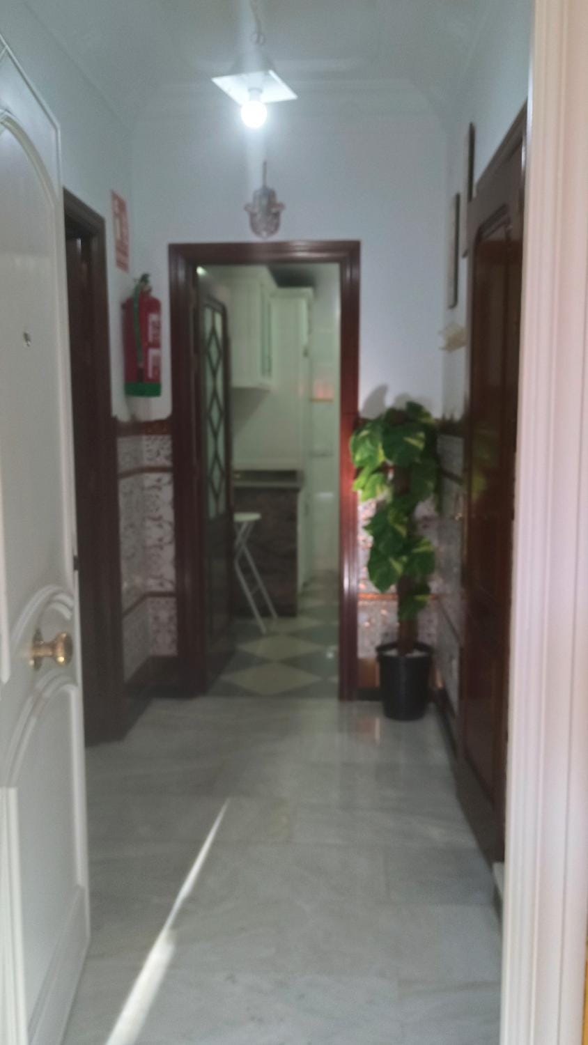 casa vacacional Alicia House in Seville