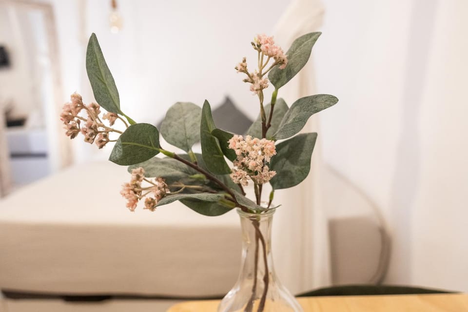 Beni Suite by Concept Flats Apartment in Valencia