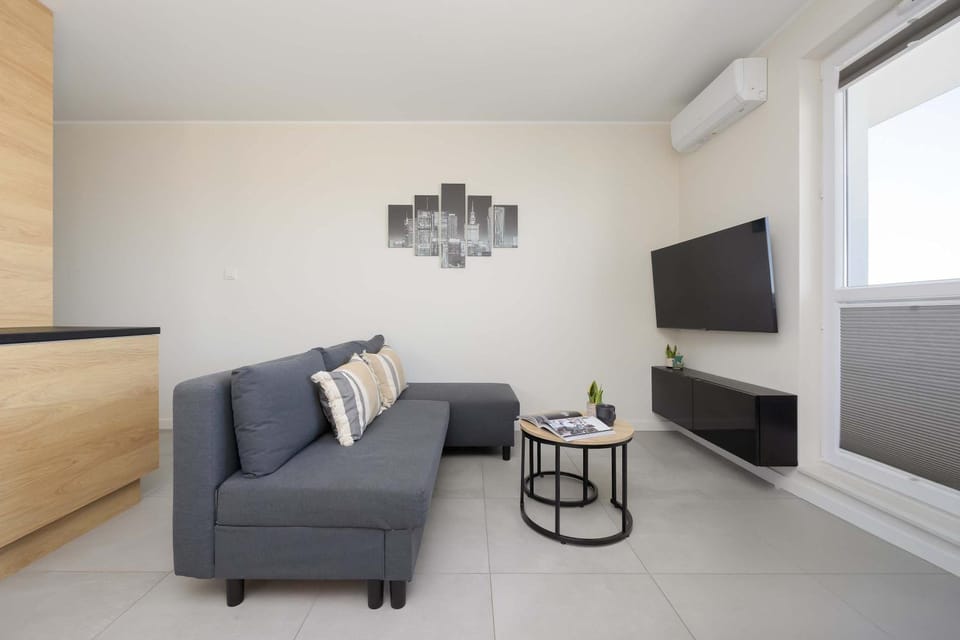 TV and multimedia, Living room, Seating area, air conditioner