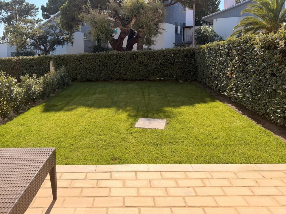 Natural landscape, Garden, Garden, Garden view