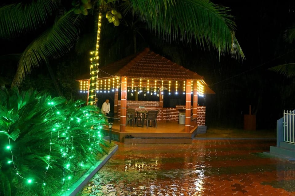 Property building, Night, Garden, Garden view