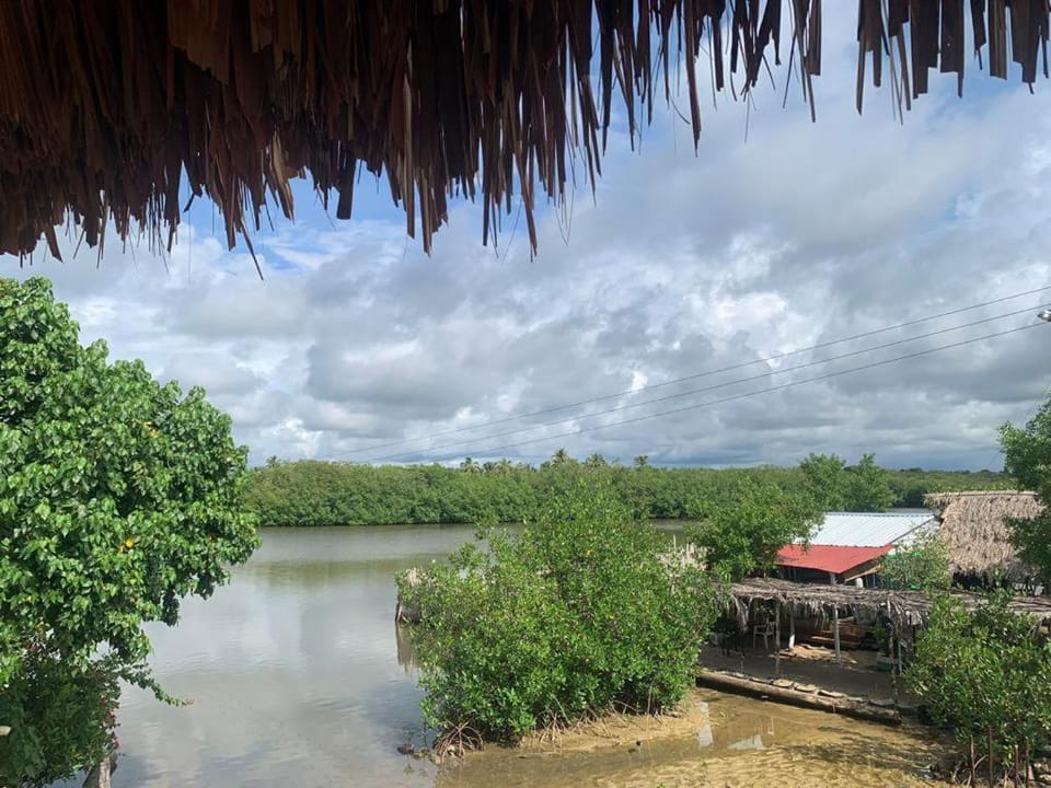 Lake view