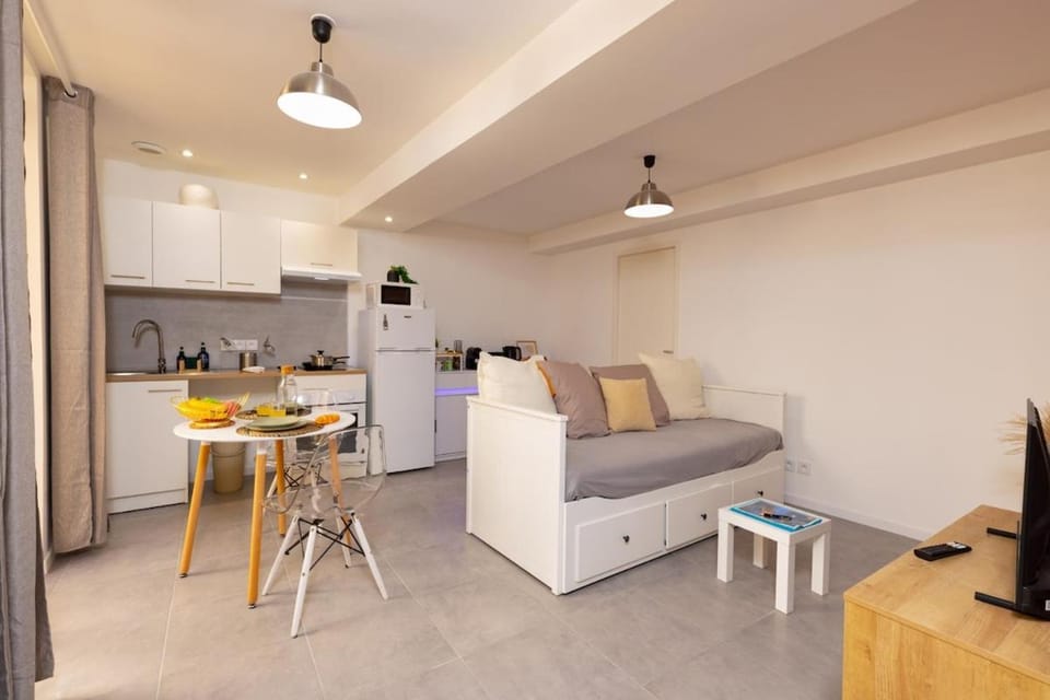 L'oasis urbaine Apartment in Carcassonne