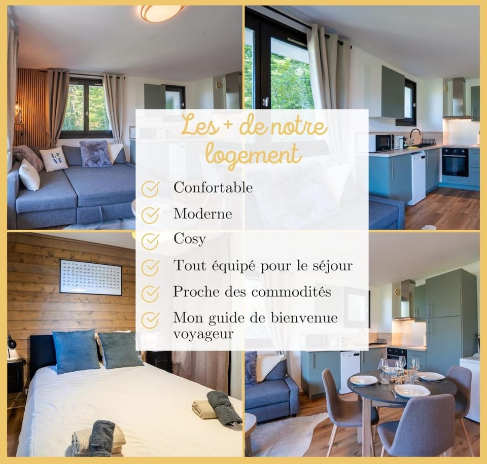 Le Belvedere Alpin I T3 I Morzine Apartment in Montriond