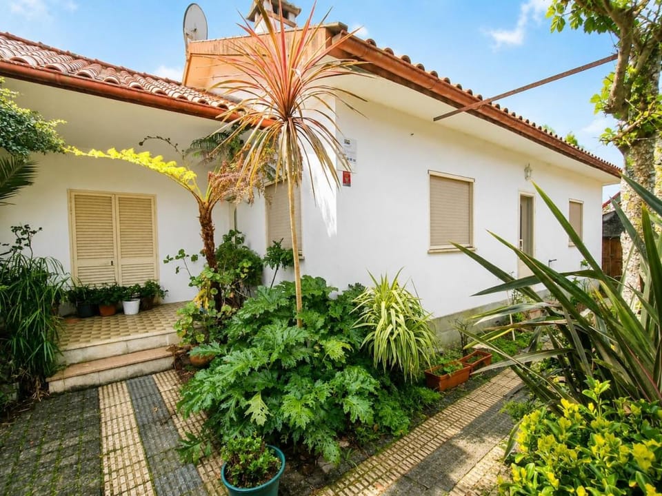Pogido Pet House House in Viana do Castelo District, Portugal