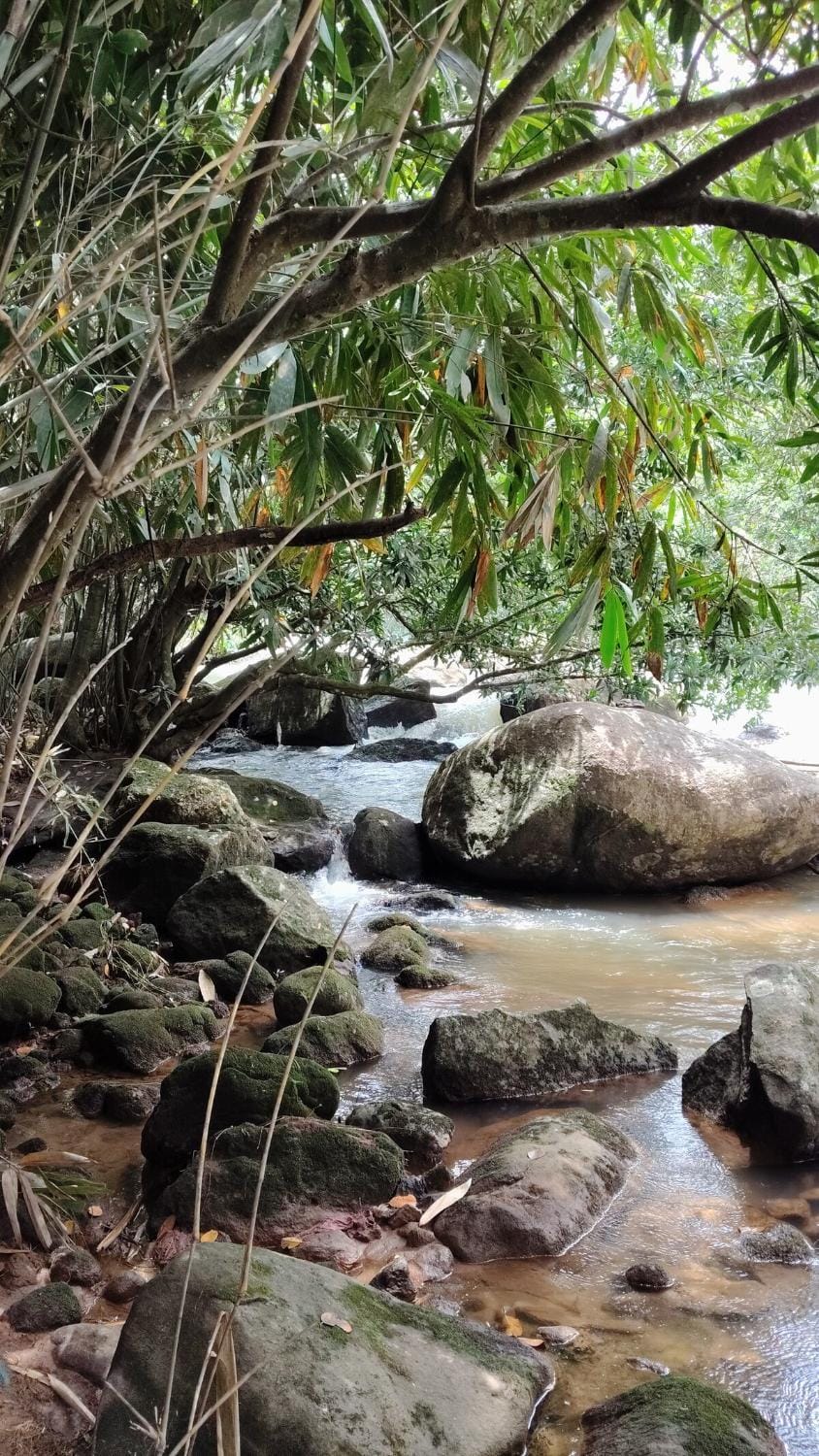 Elysium, Homestay in Munnar Vacation rental in Kerala