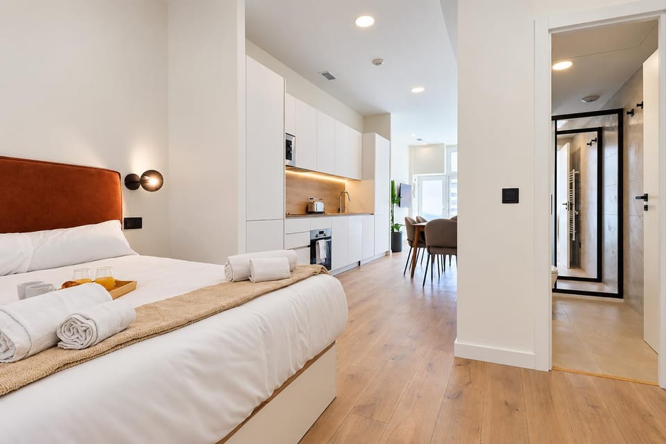 Madrid Executive Loft Apartment in Madrid