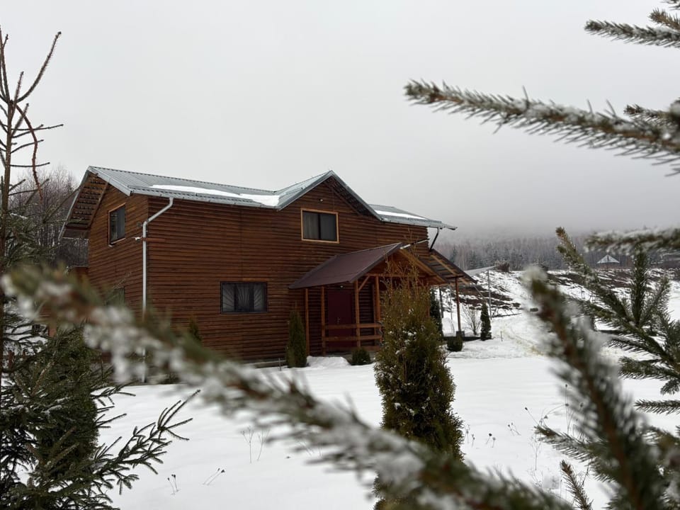 Natural landscape, Winter