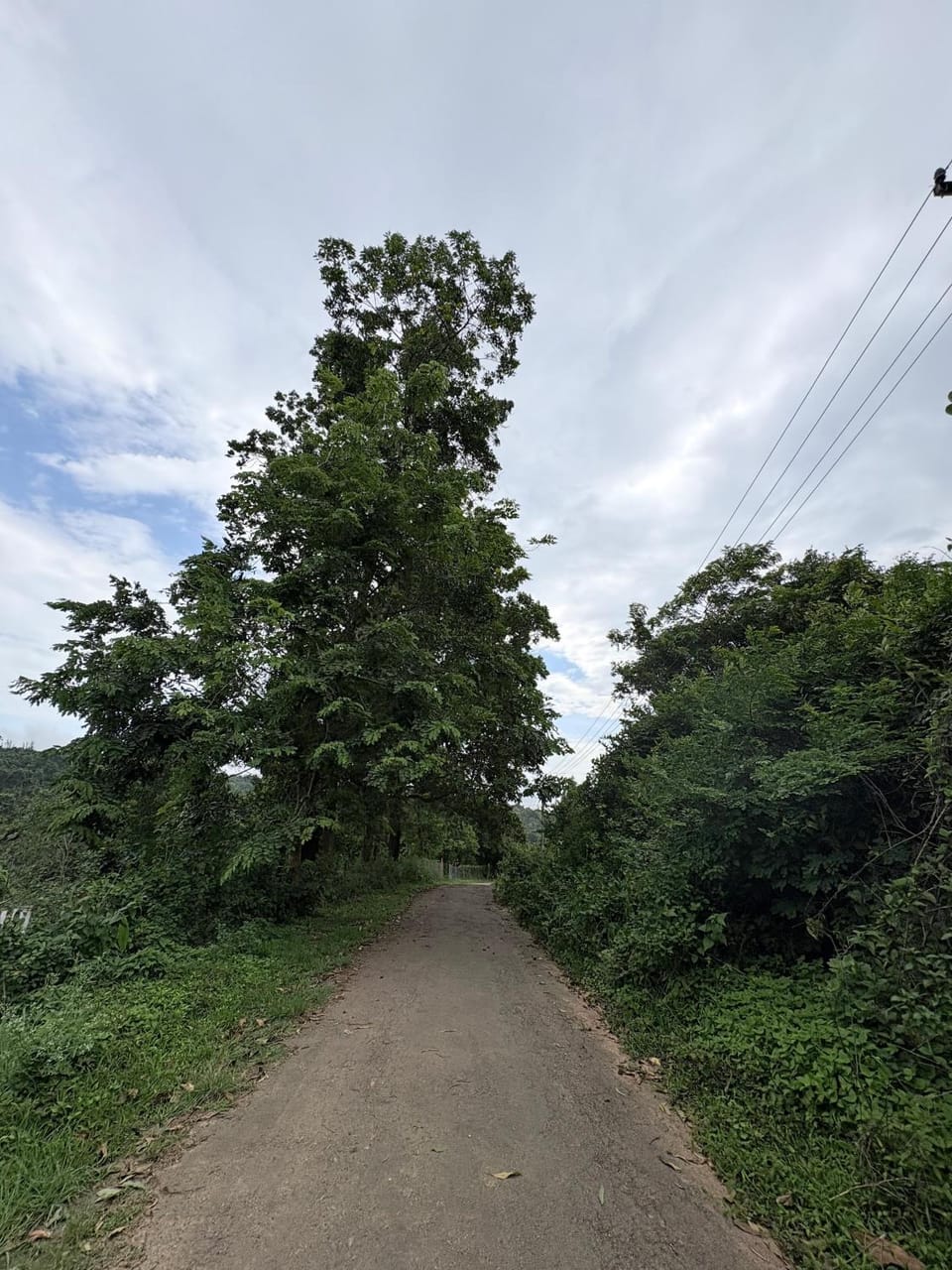 Natural landscape