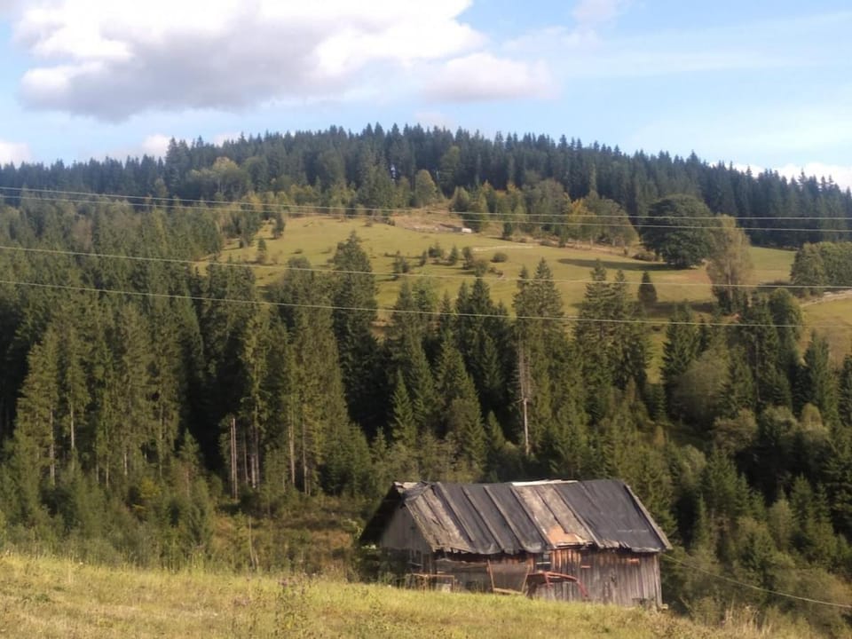 Затишний будинок Black house House in Ukraine