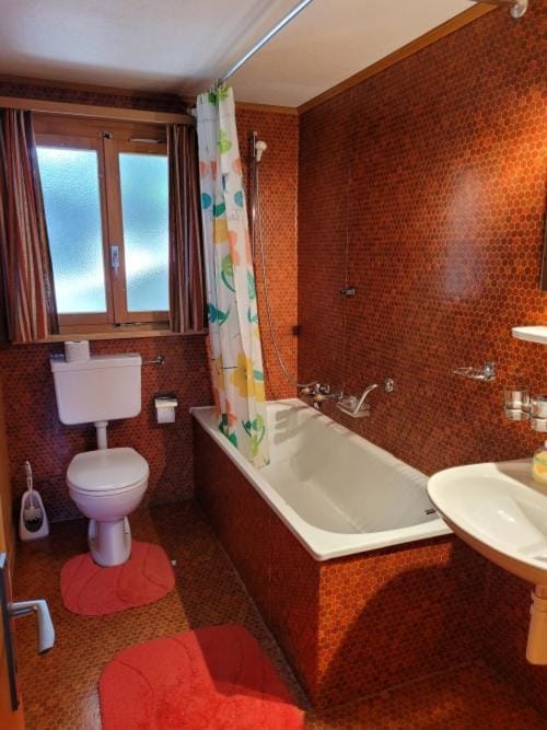 Chalet Bell- Blick Apartment in Canton of Valais