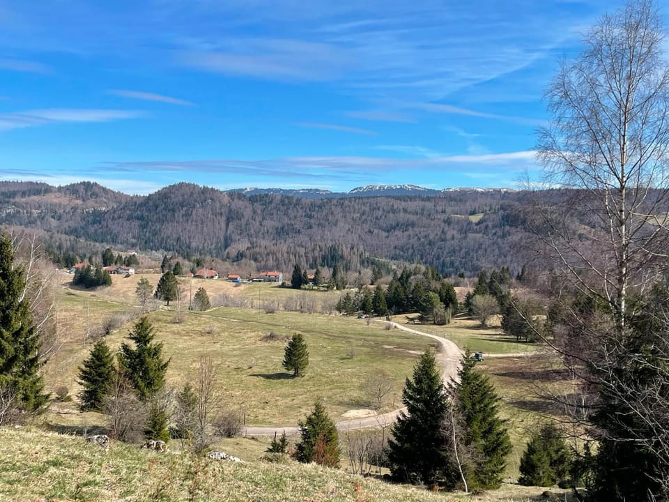 Mountain view