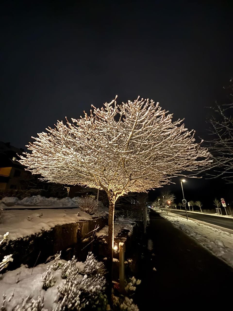 Night, Winter