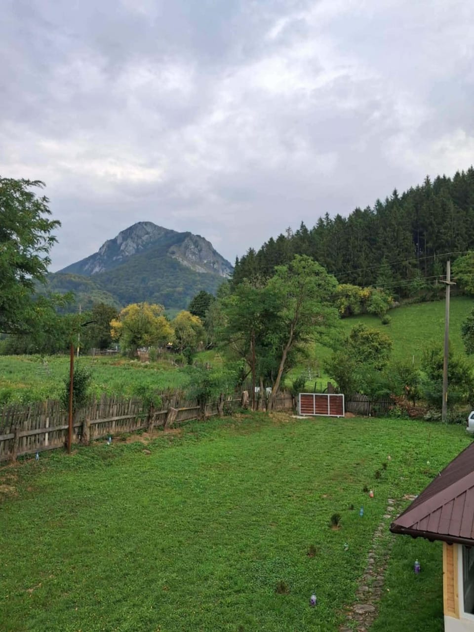 Spring, Day, Natural landscape, Garden view