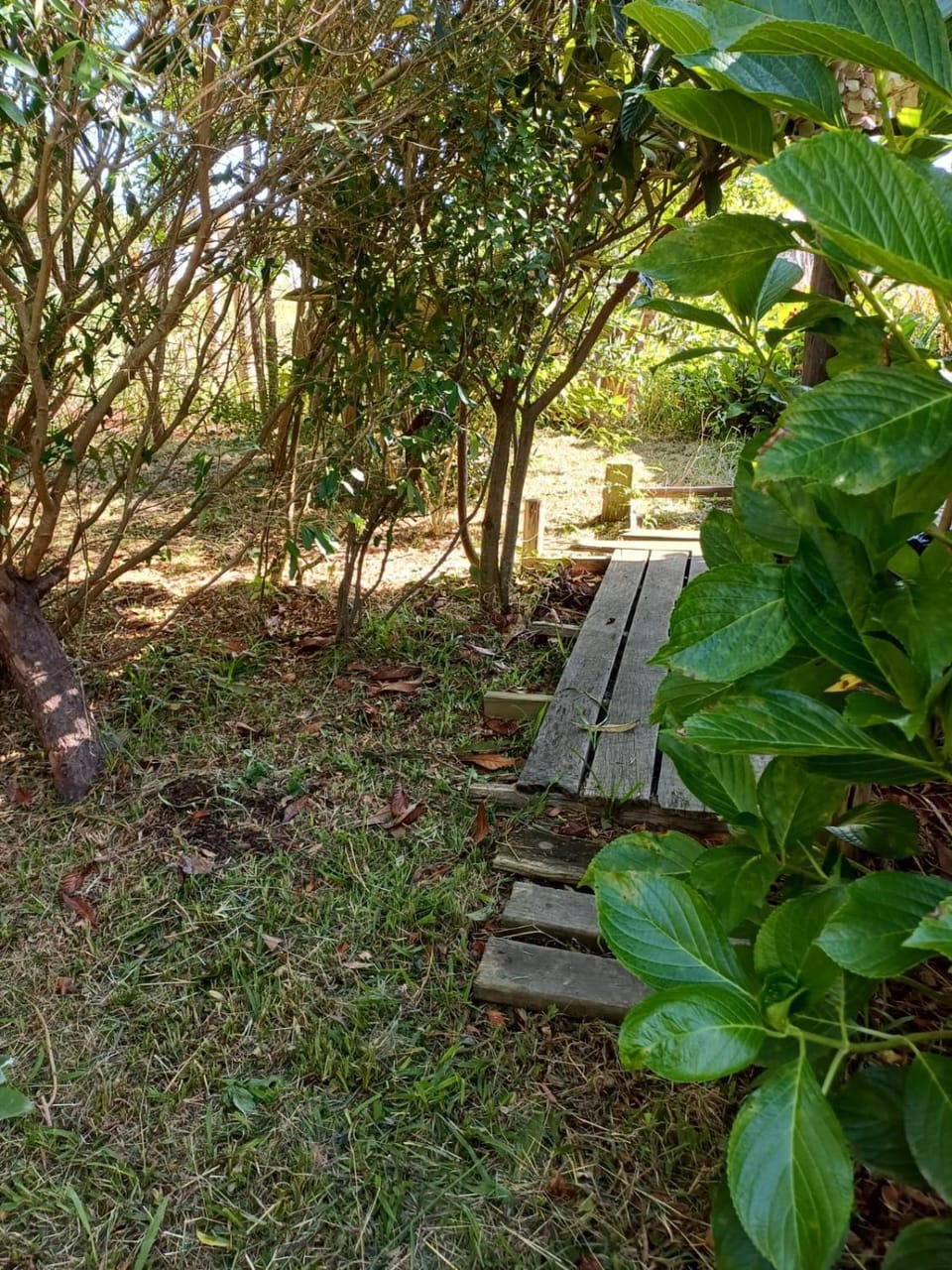 Casita en Arachania House in Rocha Department, Uruguay