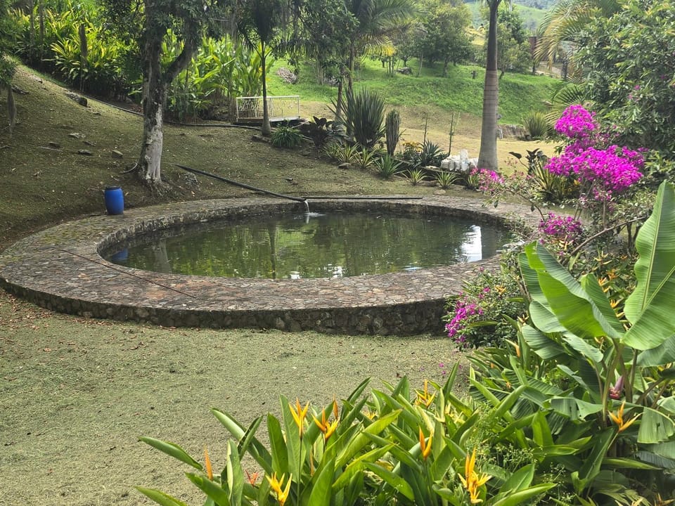 Natural landscape