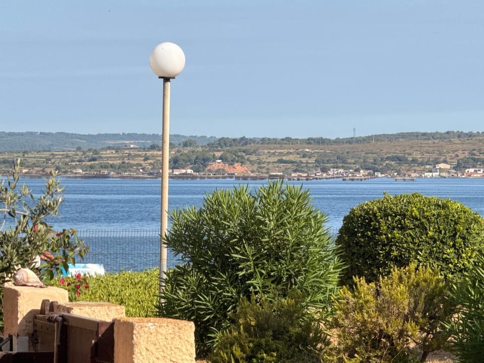 Lake view