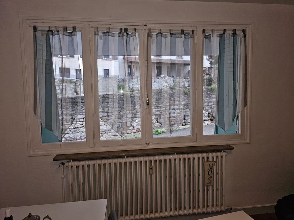 Logement verte Apartment in Saint-Étienne