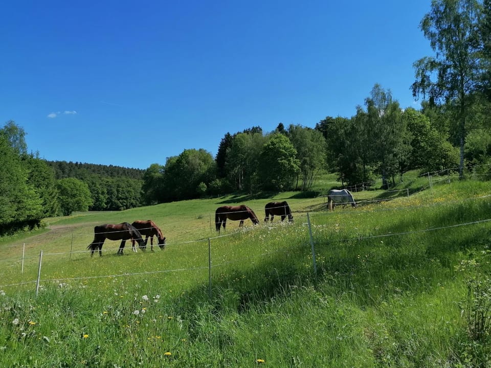 Natural landscape