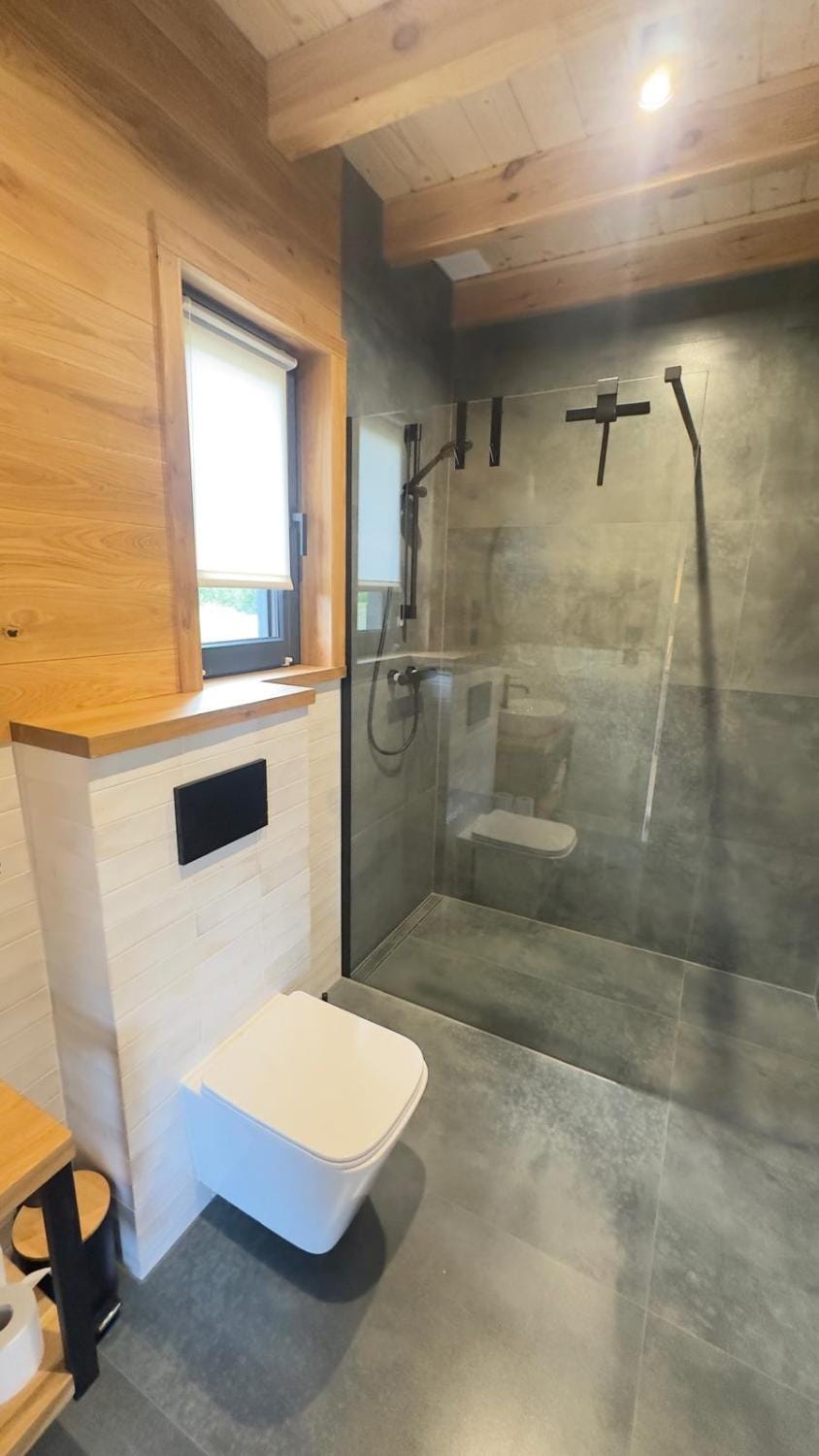 Shower, Toilet, Bathroom, towels