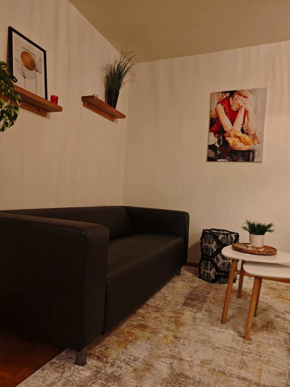 Bijou Zurich Apartment in Zurich City