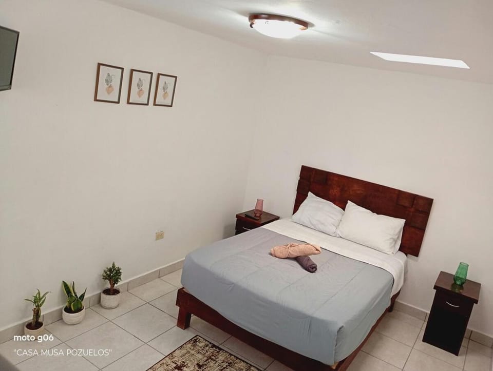 Casa musa pozuelos House in Guanajuato