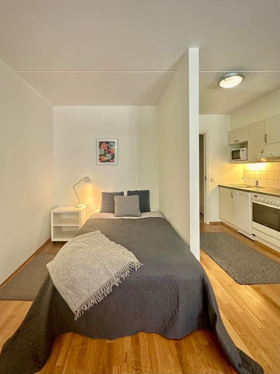 Modern Apartment in Oslo with Balcony & Parking Apartment in Oslo