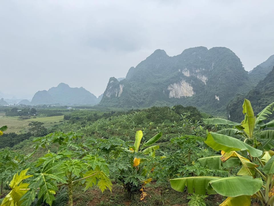 Homestay Làng Mường Farm Farm Stay in Vietnam