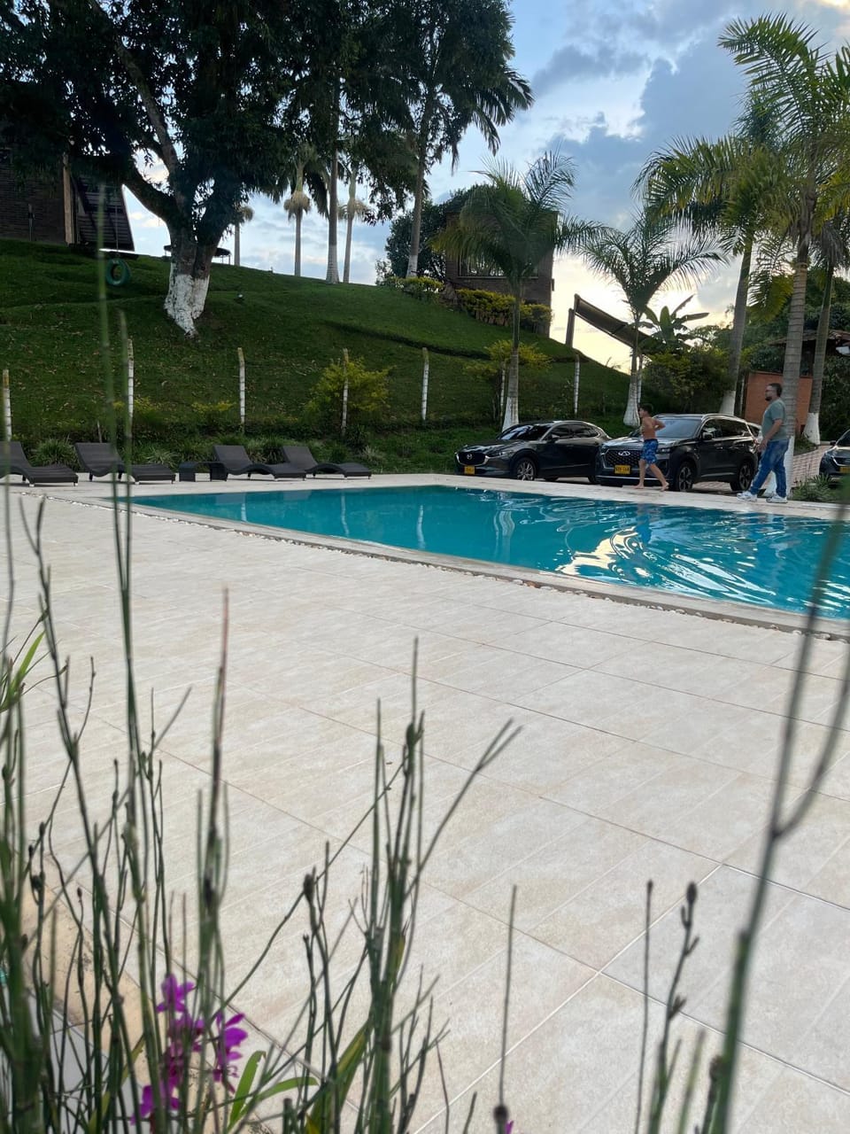 Natural landscape, Swimming pool