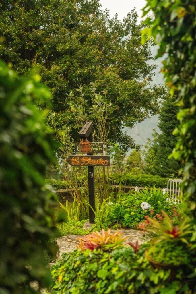 Natural landscape, Garden, Garden view