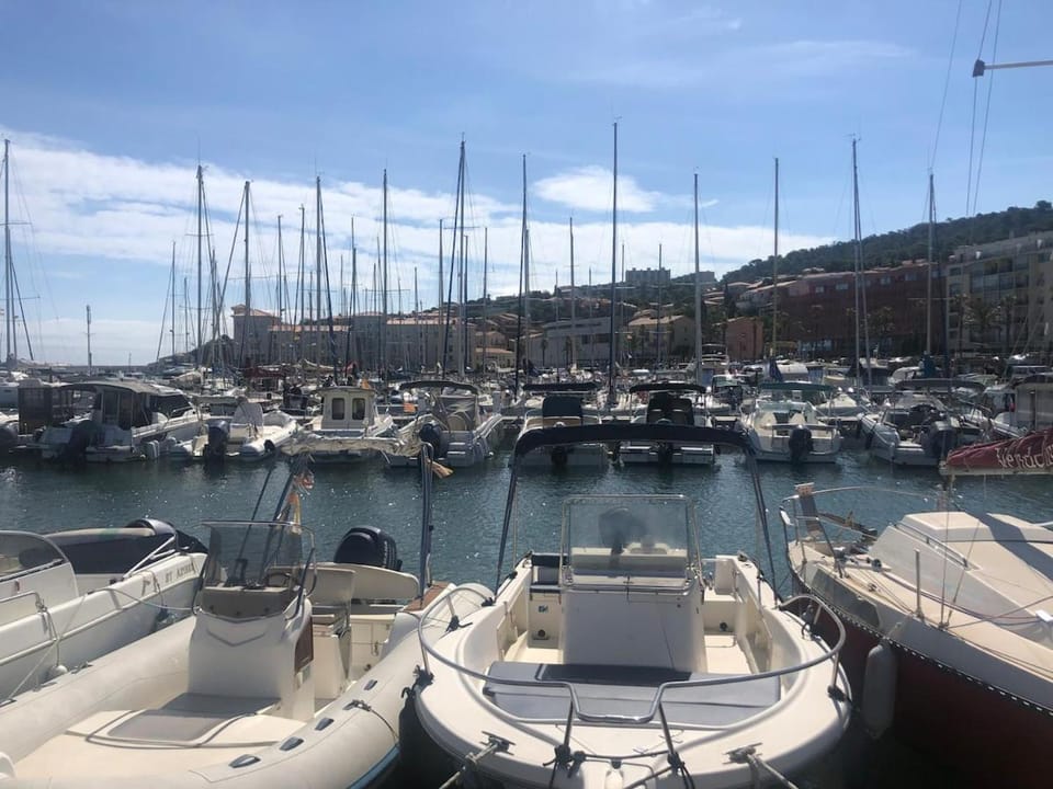 Studio avec vue mer, Plage des Elmes Apartment in Port-Vendres