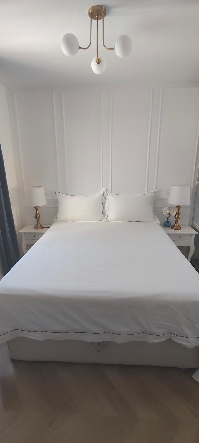 Ático de lujo en el centro Apartment in Centro