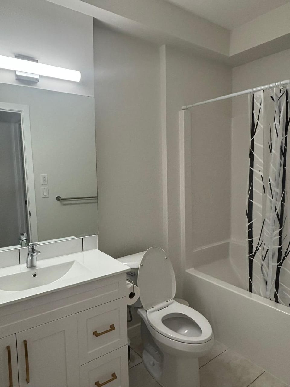 71 Basement 2 Bed 1 Bath Apartment in Winnipeg