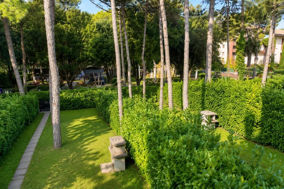 Day, Natural landscape, Garden, Garden view