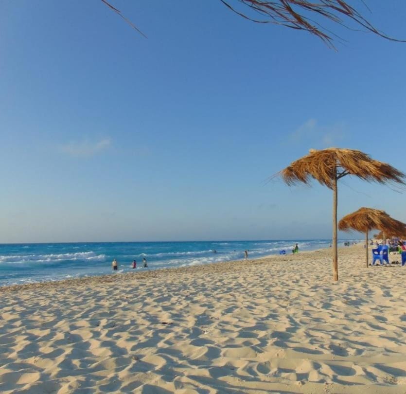 Day, Beach, Sea view, sunbed