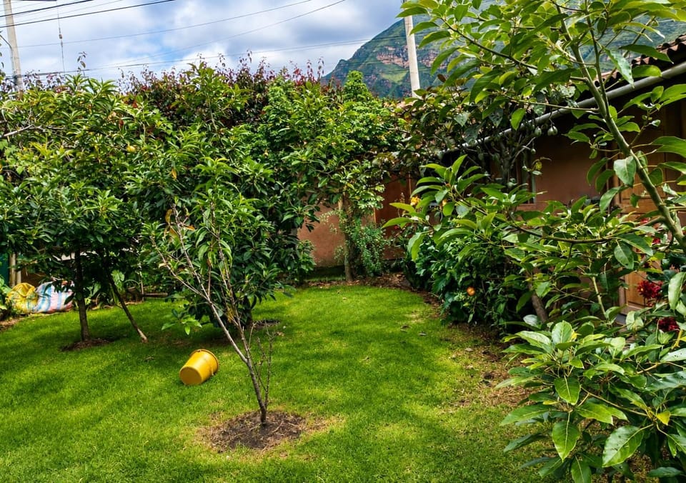 Spring, Day, Natural landscape, Garden, Garden view, Mountain view