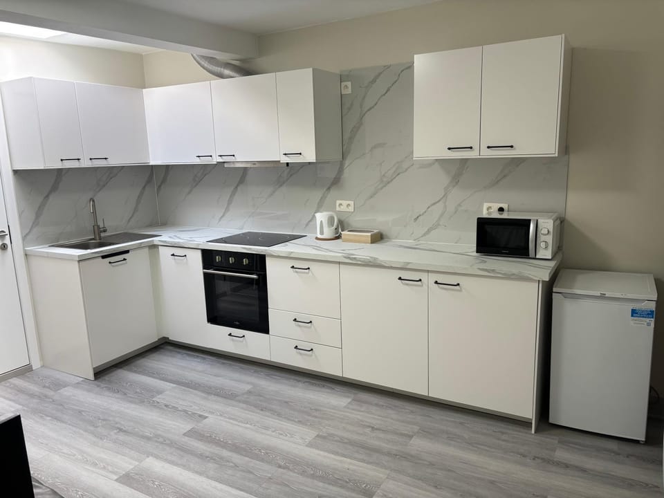 Kitchen or kitchenette, kitchen