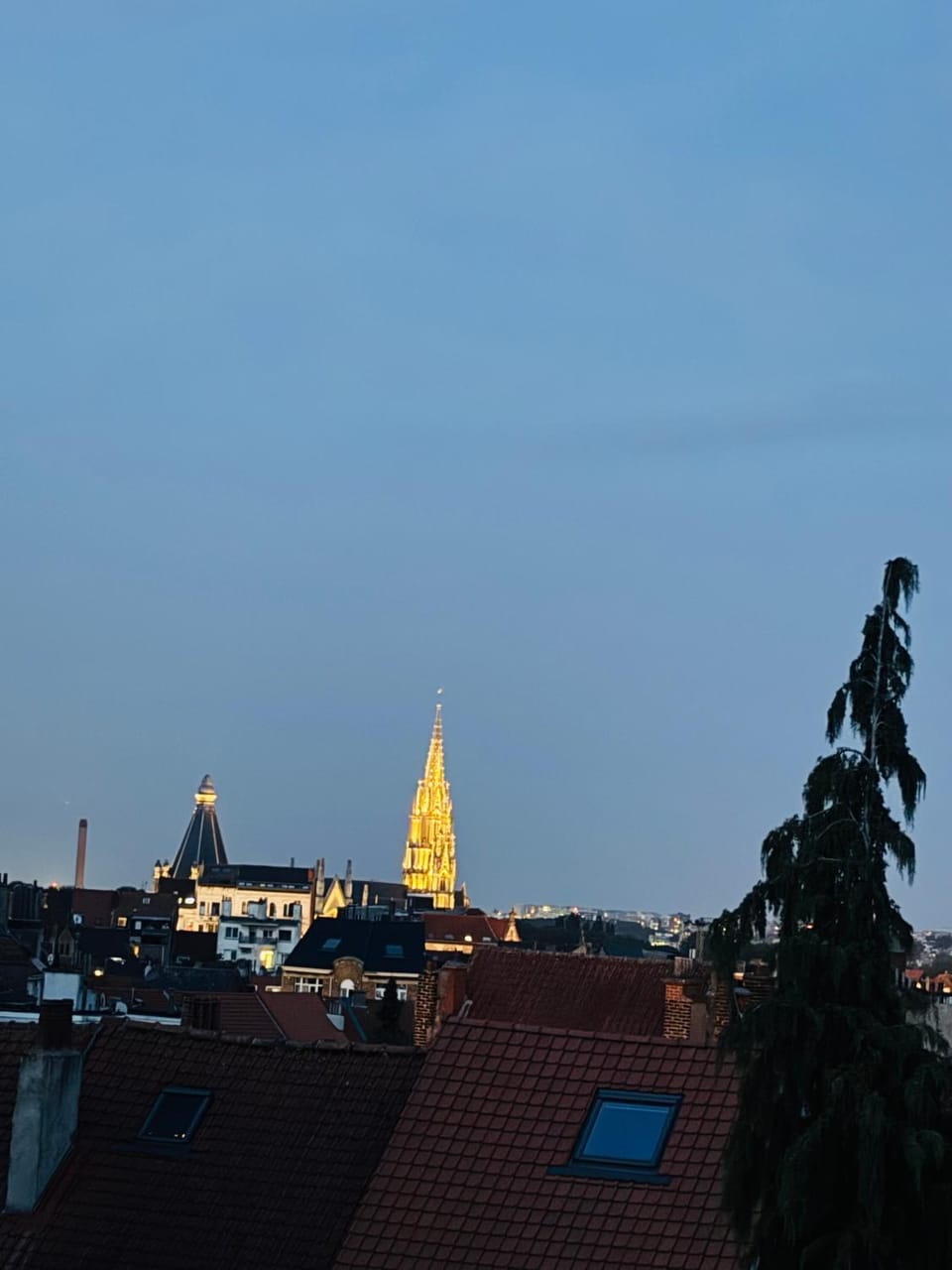 View (from property/room), City view