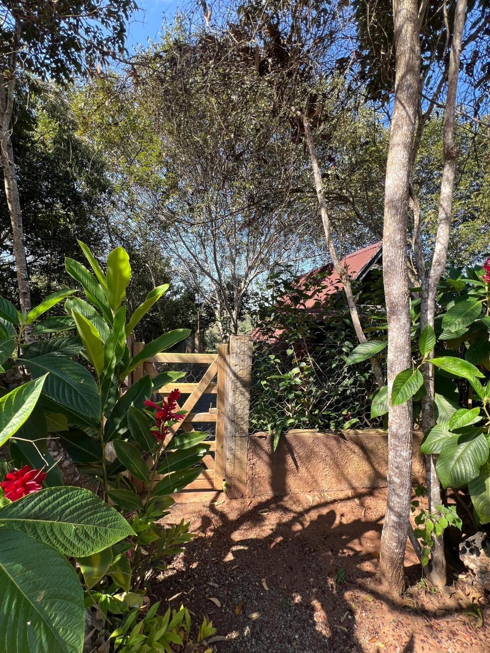 Facade/entrance, Day, Garden