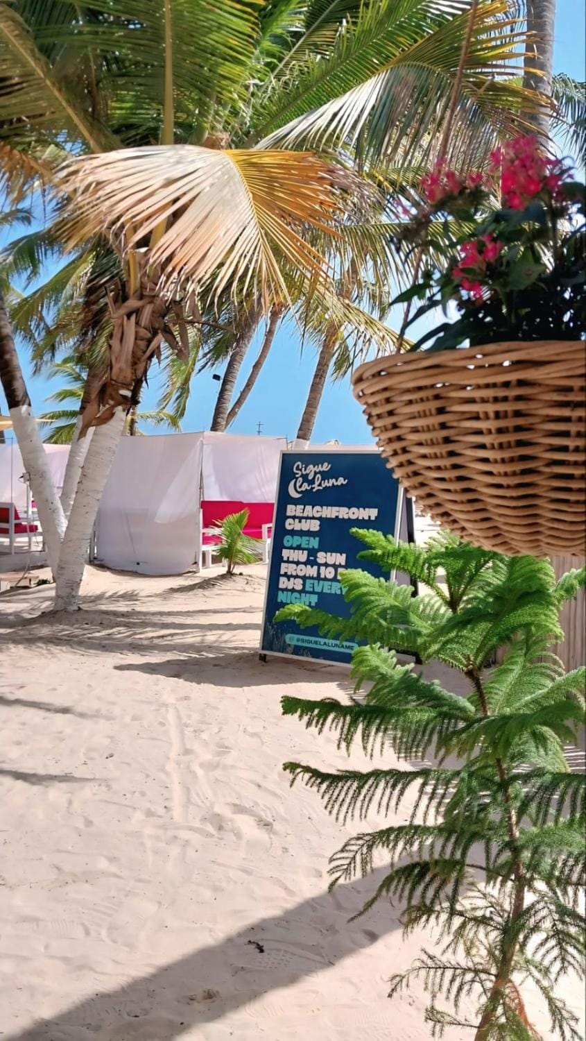 Natural landscape, Beach, Area and facilities, sunbed
