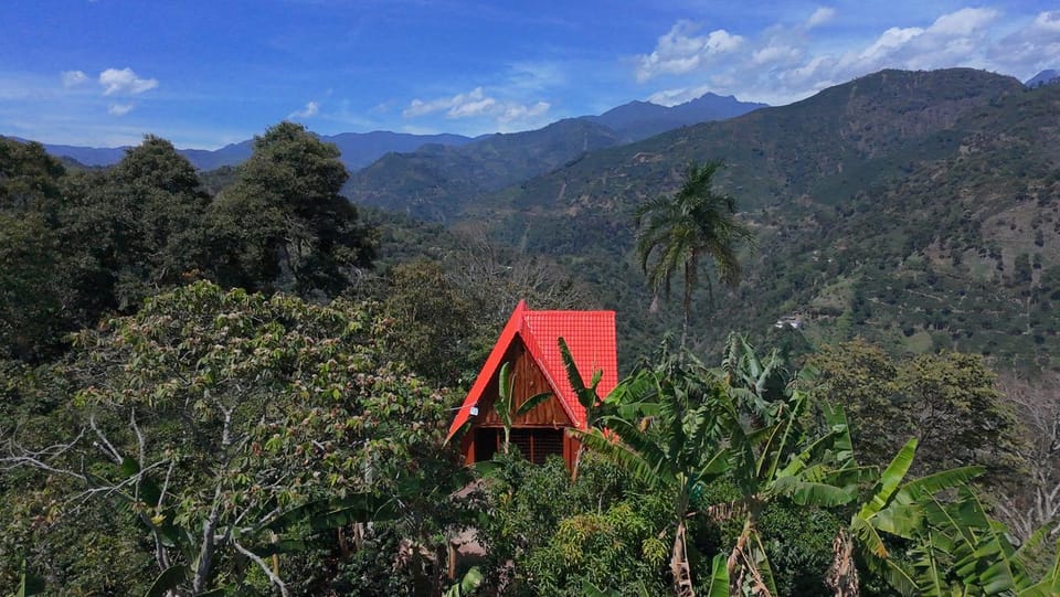 Glamping cordilleras del café Apartment in Jardín