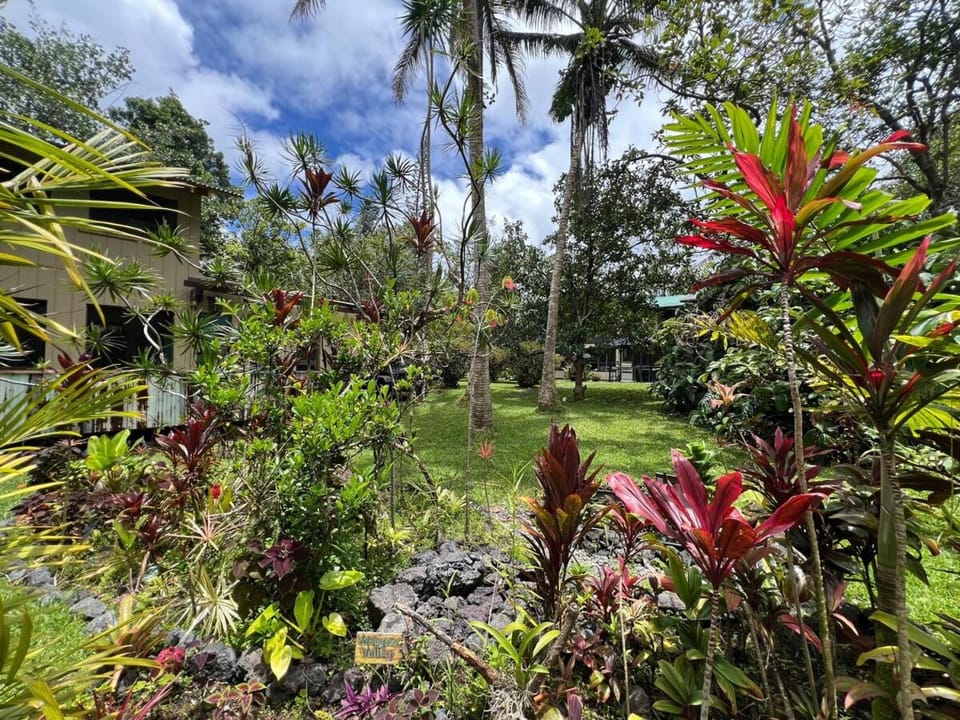 Day, Natural landscape, Garden