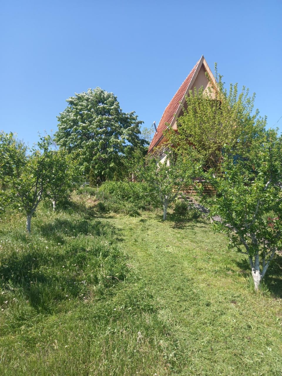 Vikendica negovanovic House in Serbia
