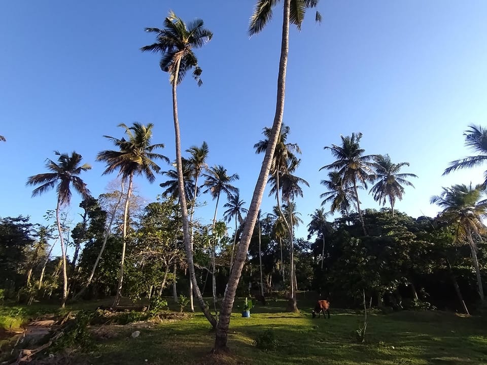 Jinna's Aisle Hostel Farm Stay in Ahangama